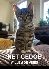 Het gedoe - Willem De Vries - 9789465385594
