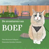 De avonturen van Boef - Dorothée en Marianne Valentijn en Collignon - 9789465386140