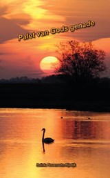 Palet van Gods genade - Tessensohn - Rijsdijk - 9789491026492