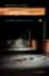 Incognito - M. Bielsma-Schaaij - 9789491080357