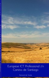 Europese ICT professional z'n Camino de Santiago - Ramond de Vrede - 9789491080968