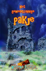 Het geheimzinnige pakje - Helene Friebel - 9789491670121