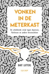 Vonken in de meterkast - Bart Lutters - 9789491729775