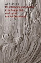 De ontmoeting met Christus in de huidige tijd en de geest van het Goetheanum - Judith von Halle - 9789491748325