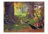 Schoolplaat Boschvogels -  - 9789492033277