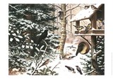 Schoolplaat Vogels in de Winter -  - 9789492033284