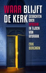 Waar blijft de kerk? - Erik Borgman - 9789492093127