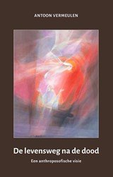 De levensweg na de dood - Antoon Vermeulen - 9789492326270