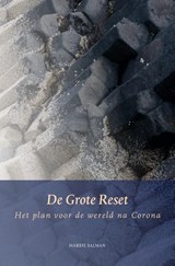 De grote reset - Harrie Salman - 9789492326591