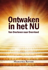 Ontwaken in het nu - Mahatma Revier - 9789492412195
