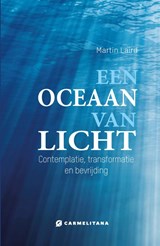 Een oceaan van licht - Martin Laird - 9789492434470