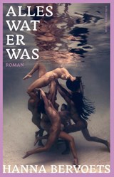 Alles wat er was - Hanna Bervoets - 9789492928795