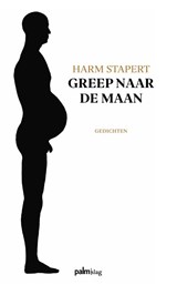 Greep naar de maan - Harm Stapert - 9789493059085