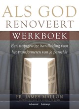 Als God renoveert - James Mallon - 9789493161191