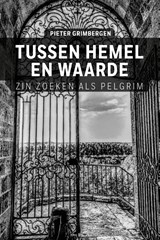 Tussen hemel en waarde - Pieter Grimbergen - 9789493198906
