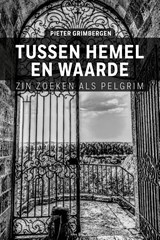 Tussen hemel en waarde - Pieter Grimbergen - 9789493198913