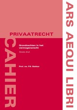 Grondrechten in het vermogensrecht - Sjoerd Bakker - 9789493199941