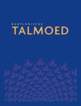 Babylonische Talmoed Sanhedrien 1 en 2 - Jacob de Leeuwe - 9789493220218