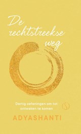 De rechtstreekse weg - Adyashanti - 9789493228313