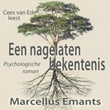 Een nagelaten bekentenis - Marcellus Emants - 9789493271227