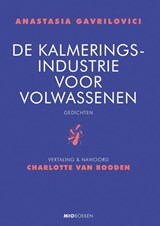De kalmeringsindustrie voor volwassenen - Anastasia Gavrilovici - 9789493332843