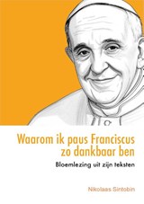 Waarom ik paus Franciscus zo dankbaar ben - Nikolaas Sintobin - 9789493395442