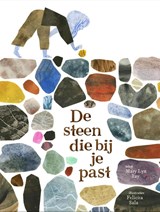 De steen die bij je past - Mary Lyn Ray - 9789493408289