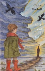 Lelijk mooi is liefde - Cedric Muchall - 9789493455030