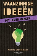 Waanzinnige ideeën tot leven wekken - Raimke Groothuizen - 9789493480346