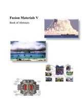 Fusion Materials V - Book of Abstracts - Muhammad Musaddique Ali Rafique - 9798227689863