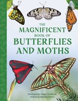 The Magnificent Book of Butterflies and Moths - Barbara Taylor - 9798886740349