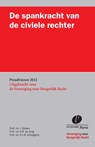 De spankracht van de civiele rechter - Ivo Giesen ; Elbert de Jong ; Roel Schutgens - 9789462513082
