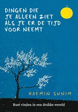 Dingen die je alleen ziet als je er de tijd voor neemt | Haemin Sunim | 9789022581124