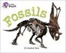 Fossils - Dr Andrew Ross - 9780007336197