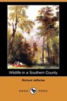 Wildlife in a Southern County (Dodo Press) - JEFFERIES,  Richard - 9781409961406