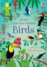 Little First Stickers Birds - Jane Bingham - 9781836051145