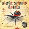 Black Widow Spider - William Anthony - 9781839274800