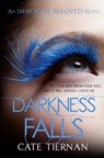 Darkness Falls (Immortal Beloved Book Two) - Cate Tiernan - 9781848949911