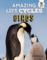Amazing Life Cycles-Birds - John Allan - 9781912108367