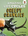 Amazing Life Cycles-Minibeasts - John Allan - 9781913077013