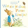 Wat zie je daar, Pieter Konijn? - Beatrix Potter - 9789021679877