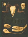 Bones schedels - Rob Colson - 9789052109725