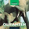 Olifanten - Martin Schwabacher - 9789055663316