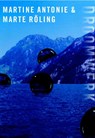 Droomwerk - Feico Hoekstra ; Ralph Keuning - 9789462621145