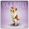 Yoga Puppies OFFICIAL | 2027 12 x 24 Inch (Hanging) Monthly Square Wall Calendar | Plato | Animals Humor Puppy Dogs Canine -  - 9798330713585