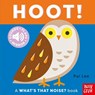 What's That Noise? Hoot! - Pui Lee - 9798887772974