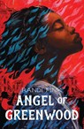 Angel of Greenwood - Randi Pink - 9781250821294