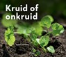 Kruid of onkruid - Bärbel Oftring - 9789089897565