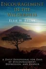 Encouragement in the Wilderness - Elsie H. Brunk - 9798295751387