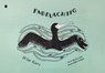 Fabelachtig - Wim Kars - 9789465442761